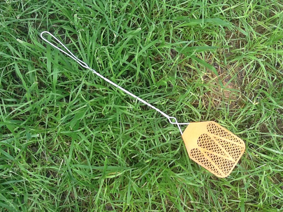 Fly swatter laying in the grass