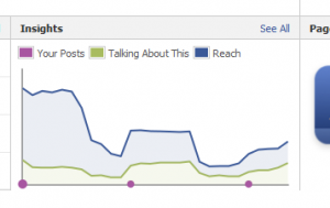 Chart Showing Glitch in Facebook Activity 