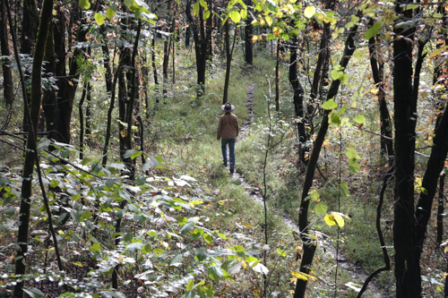 A man hiking through a wooded area 